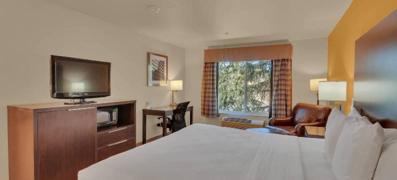 纳帕谷六旗探索王国凯艺酒店(Quality Inn Near Six Flags Discovery Kingdom-Napa Valley)图片
