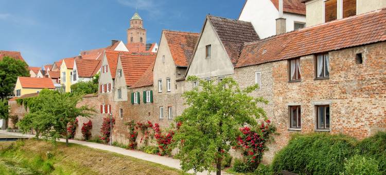 多瑙河之星公寓式酒店(Aparthotel Donaustern)图片