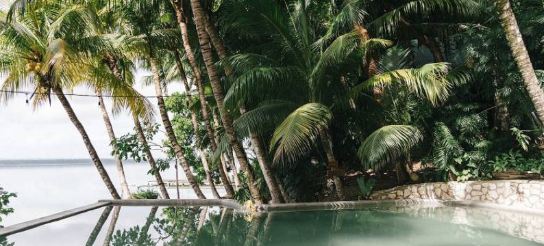 格林戈佩迪多酒店(Hotel Gringo Perdido)图片