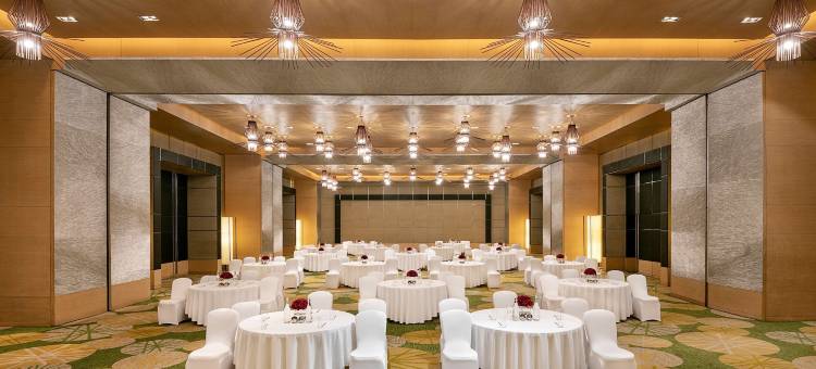 阿姆利则丽笙蓝标酒店(Radisson Blu Hotel Amritsar)图片