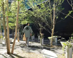 外觀