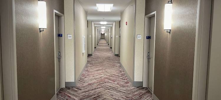 奥科诺默沃克希尔顿花园酒店(Hilton Garden Inn Oconomowoc)图片