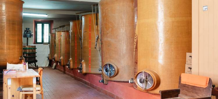蒙泰亚尔真塔廖农庄酒店(Agriturismo Ristorante Monte Argentario)图片