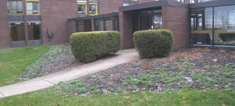 哥伦布机场戴斯酒店(Days Inn by Wyndham Columbus Airport)图片