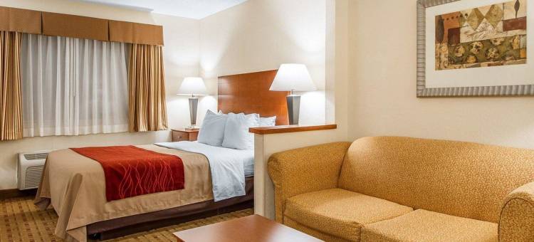 凯艺套房酒店(Quality Inn & Suites)图片