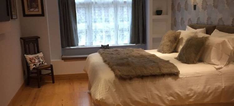 8只猫头鹰民宿(8 Owls B&B)图片