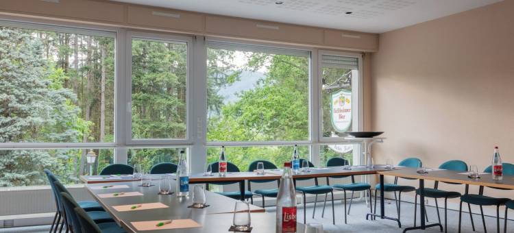 河谷贵族酒店(Hôtel Restaurant la Vallée Noble, Proche Eguisheim Colmar)图片