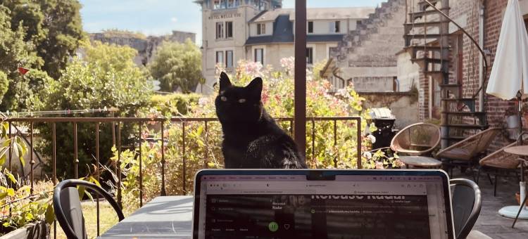 切斯里克爱特费尔酒店(Chez Ric et Fer)图片