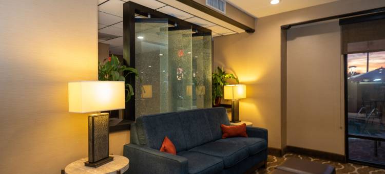 欧佩莱卡-奥本舒适酒店(Comfort Inn Opelika - Auburn)图片