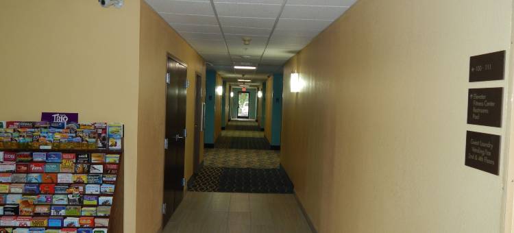 舒适套房酒店-坦帕布兰登(Comfort Suites Tampa - Brandon)图片