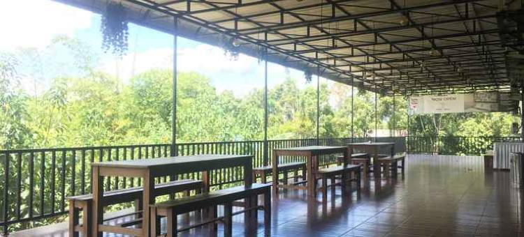 NITE & DAY 美拉威南加皮诺(Nite & Day Melawi Nangapinoh)图片