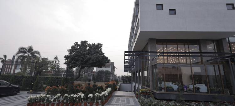 穆尔昌德度假村(Moolchand Resorts)图片