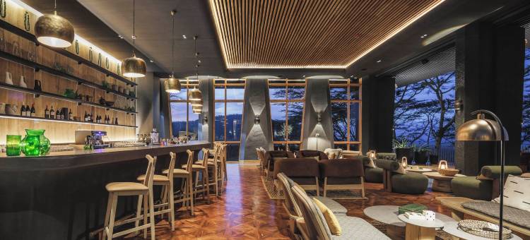 塞伦盖蒂探险者(Serengeti Explorer)图片