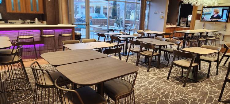 达拉斯路易斯维尔万豪SpringHill Suites 酒店(SpringHill Suites Dallas Lewisville)图片