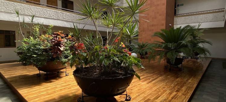 Lagos Inn酒店(Hotel Lagos Inn)图片