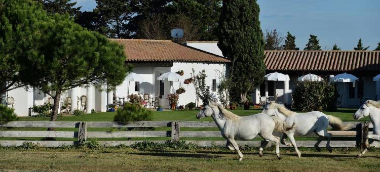 玛斯德拉格勒努耶尔酒店(Mas de la Grenouillère Hôtel et Centre équestre en Pleine Nature)图片