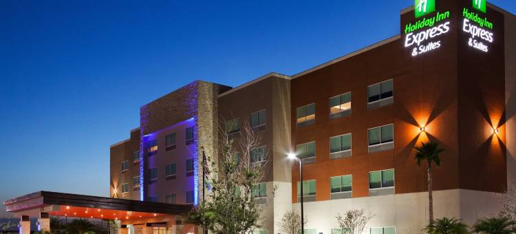 智选假日套房酒店爱丁堡 - 麦卡伦区(Holiday Inn Express & Suites Edinburg-Mcallen Area)图片
