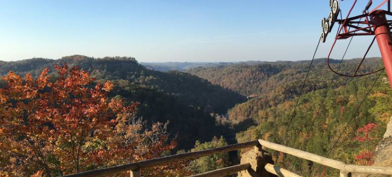 黑熊汽车旅馆(Black Bear Lodge Motel)图片