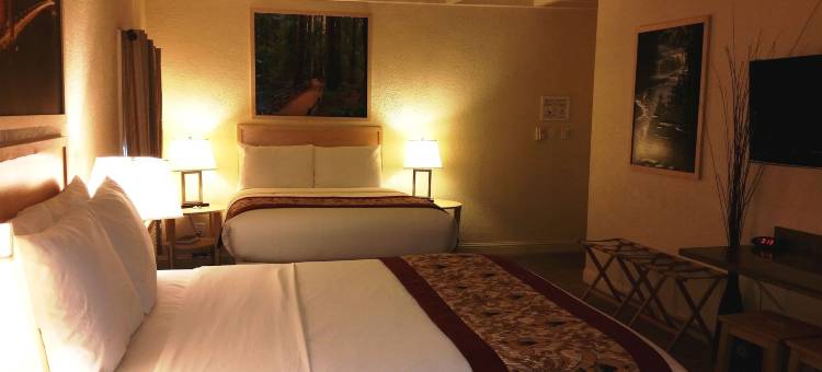 海洋旅舍(Marin Lodge)图片