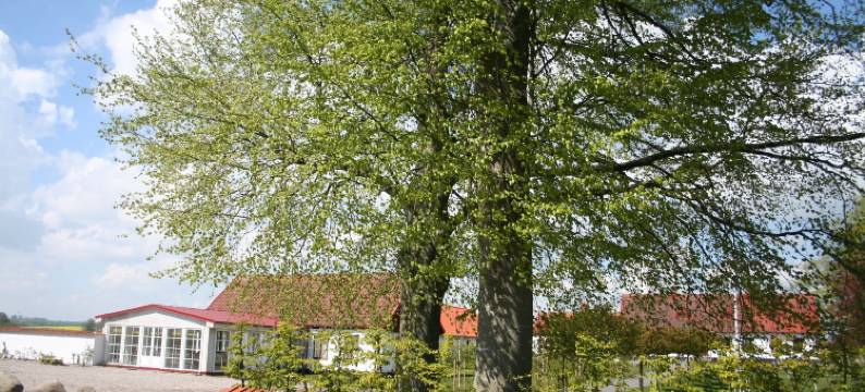 霍比农场酒店(Hoby Gård)图片