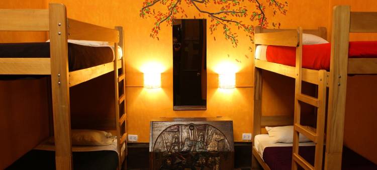 卡克拉多格疗养旅舍(Kaclla, the Healing Dog Hostel)图片