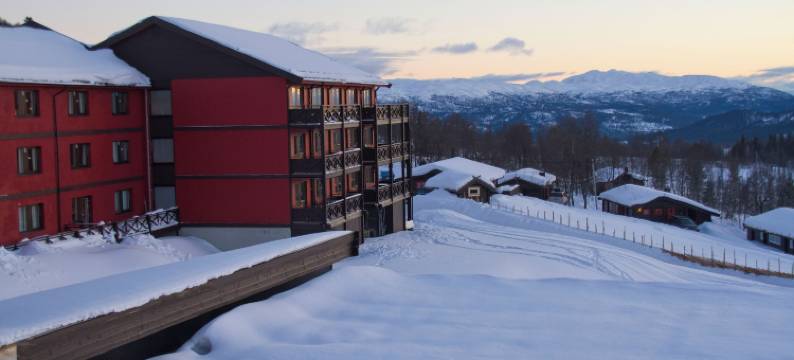 劳兰德高地酒店(Rauland Høgfjellshotell)图片