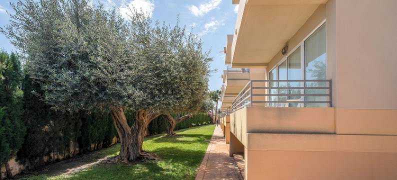 阿布里尔霍斯潘迪姆酒店(Hospedium Hotel Abril)图片