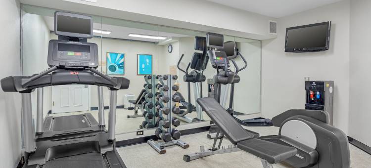 梅恩斯泰套房坦帕莫菲特-南佛罗里达大学(MainStay Suites Tampa Moffitt-USF)图片