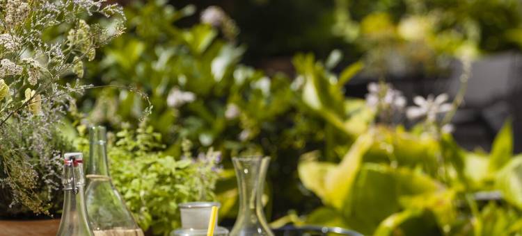 旧城波兹南普罗酒店(Puro Hotel Poznań Stare Miasto)图片