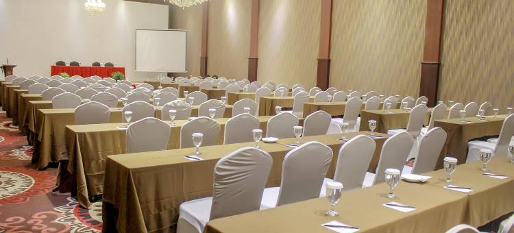 贾瓦宫酒店(Java Palace Hotel)图片