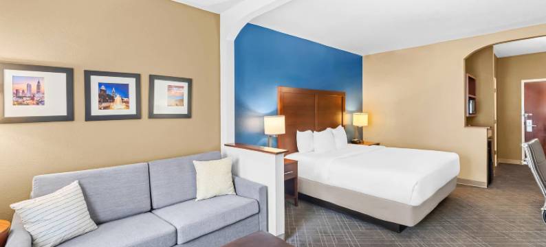 代弗尼- 移动东湾舒适套房酒店(Comfort Suites Mobile East Bay)图片