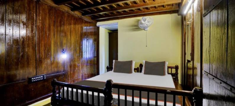 雾银(Misty D Silver)图片