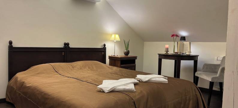 蒙特帕斯酒店(Monte Pacis Hotel in Pažaislis)图片