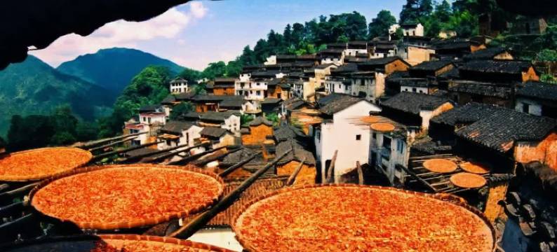 婺源沁悦民宿(篁岭景区店)图片