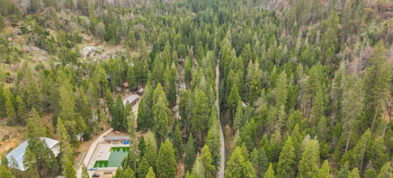 溪边小屋 ~ 20 英里到国王峡谷公园!(Creekside Cabin about 20 Mi to Kings Canyon Park!)图片