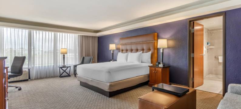 亚特兰大南德鲁里套房酒店(Drury Inn & Suites Atlanta Morrow)图片