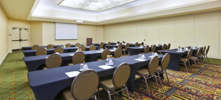 霍兰德希尔顿逸林酒店(DoubleTree by Hilton Hotel Holland)图片