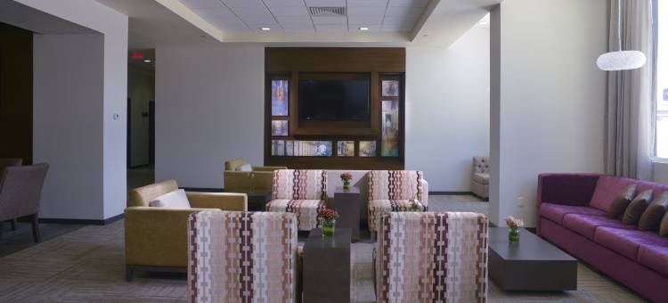 萨卡特卡斯欢朋酒店(Hampton Inn by Hilton Zacatecas)图片