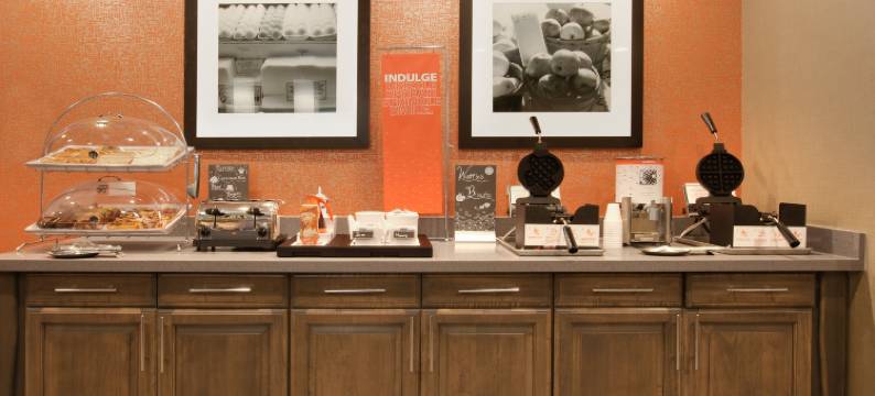 希尔顿欢朋套房酒店-斯奈德(Hampton Inn Snyder)图片