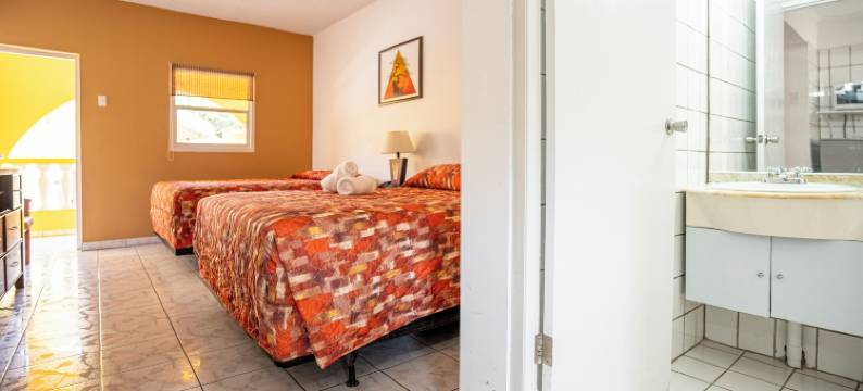 椰子酒店(Coconut Inn)图片