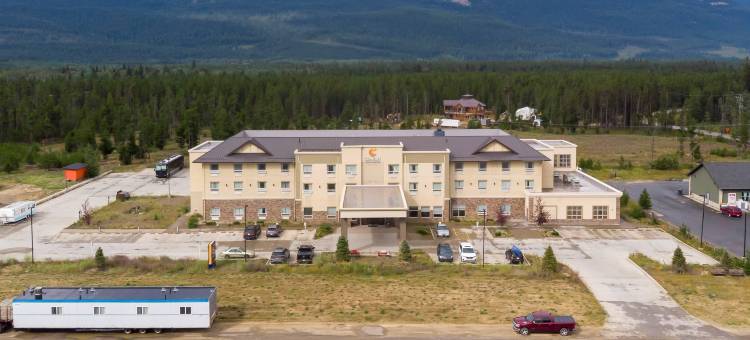 舒适套房酒店(Comfort Inn & Suites)图片