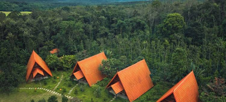 铜边缘生态度假村，库尔格(Copper Edge - Eco Resort, Coorg)图片