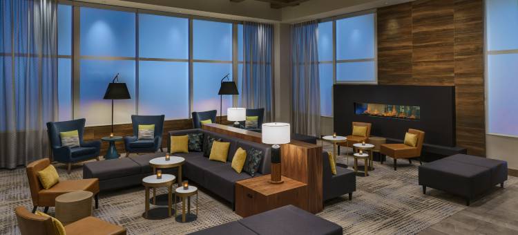 森尼维耳希尔顿花园酒店(Hilton Garden Inn Sunnyvale)图片