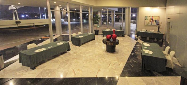 方迪多拉蒙特雷公园假日酒店(Holiday Inn MONTERREY-PARQUE FUNDIDORA by IHG)图片