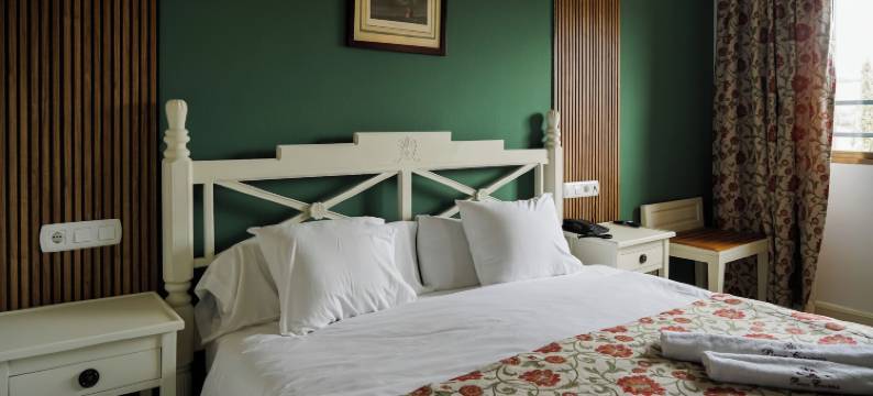 新帕尔克卡巴涅罗斯酒店(Nuevo Hotel Parque Cabaneros)图片