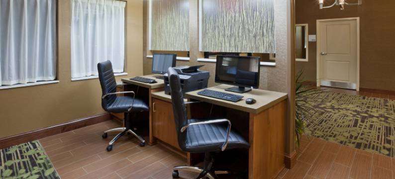 威尔马洲际智选假日套房酒店(Holiday Inn Express & Suites Willmar by IHG)图片