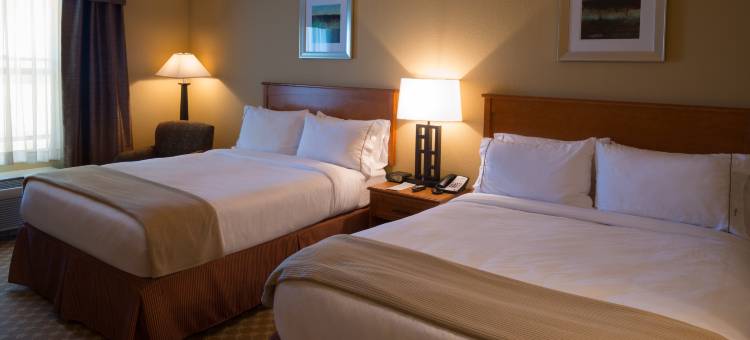 芝加哥西-罗塞尔智选假日套房酒店(Holiday Inn Express & Suites Chicago West-Roselle)图片