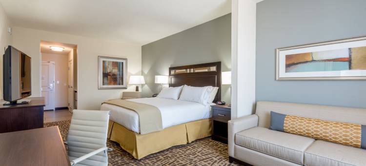 智选假日套房酒店罗克堡(Holiday Inn Express & Suites Denver South - Castle Rock)图片