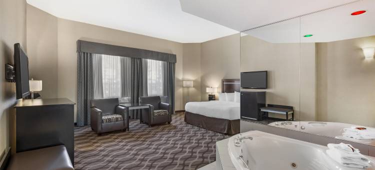 多伦多机场旅行贝斯特韦斯特优质酒店(Best Western Plus Travel Hotel Toronto Airport)图片