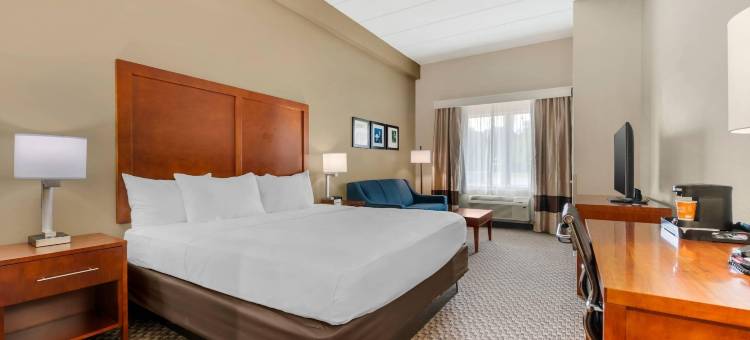 怀尔伍德-村庄舒适套房酒店(Comfort Inn & Suites Wildwood - the Villages)图片
